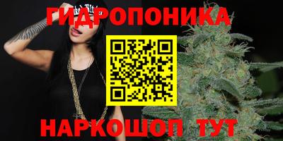 ECSTASY Моздок