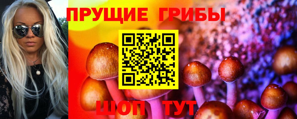 Псилоцибиновые грибы прущие грибы  Вход с VPN  купить   Тимашёвск 